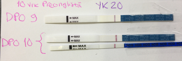 ImageUploadedByVau Foorumi1488967171.993792.jpg