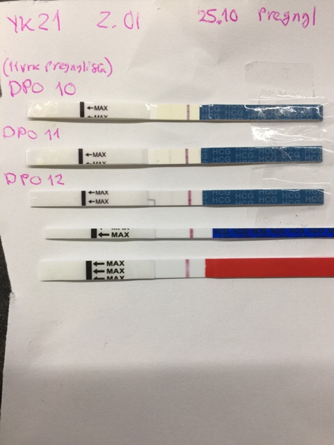 ImageUploadedByVau Foorumi1489121727.958248.jpg