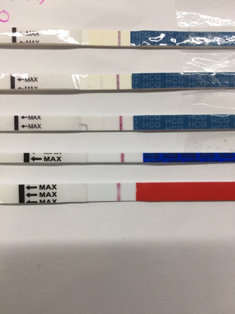 ImageUploadedByVau Foorumi1489121738.635730.jpg