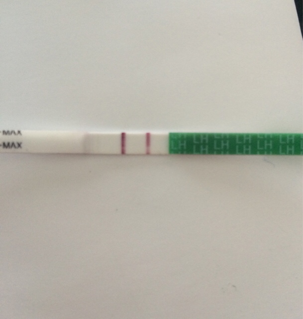 ImageUploadedByVau Foorumi1489224063.296276.jpg