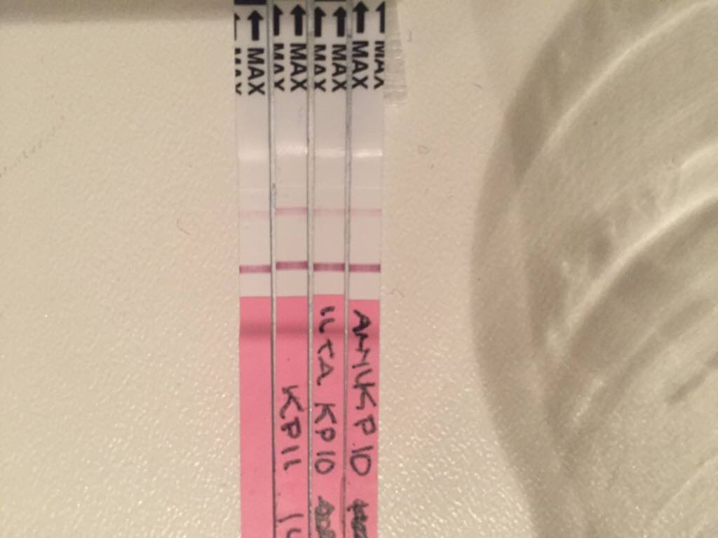 ImageUploadedByVau Foorumi1489771369.400430.jpg