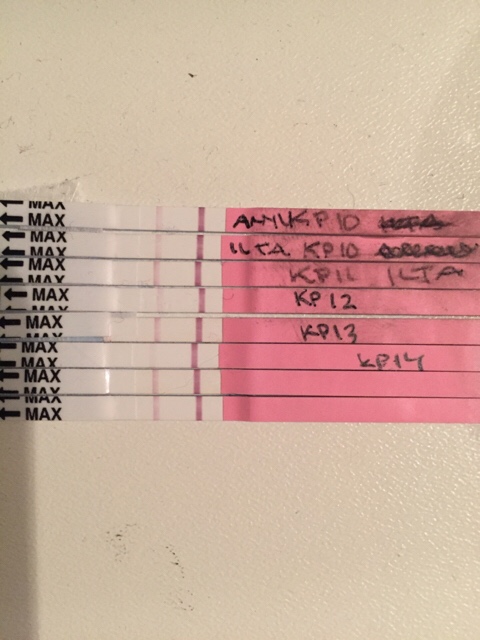 ImageUploadedByVau Foorumi1490030530.459135.jpg