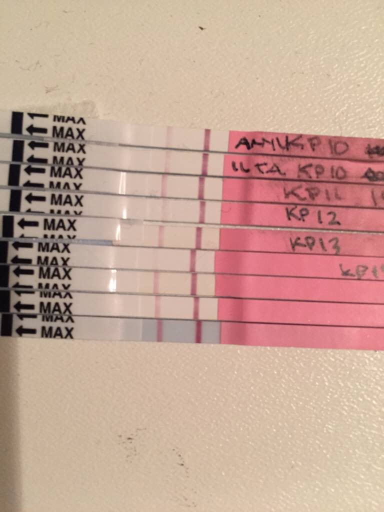 ImageUploadedByVau Foorumi1490115105.032874.jpg