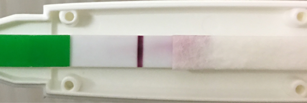 ImageUploadedByVau Foorumi1490127508.645725.jpg