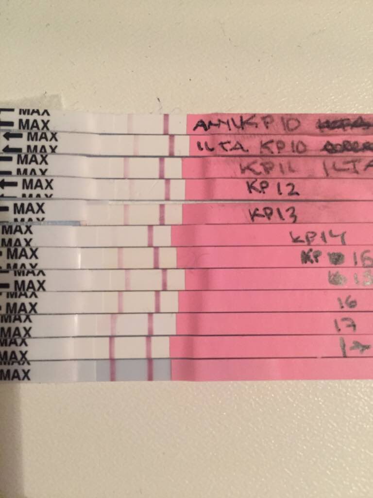 ImageUploadedByVau Foorumi1490307183.088399.jpg