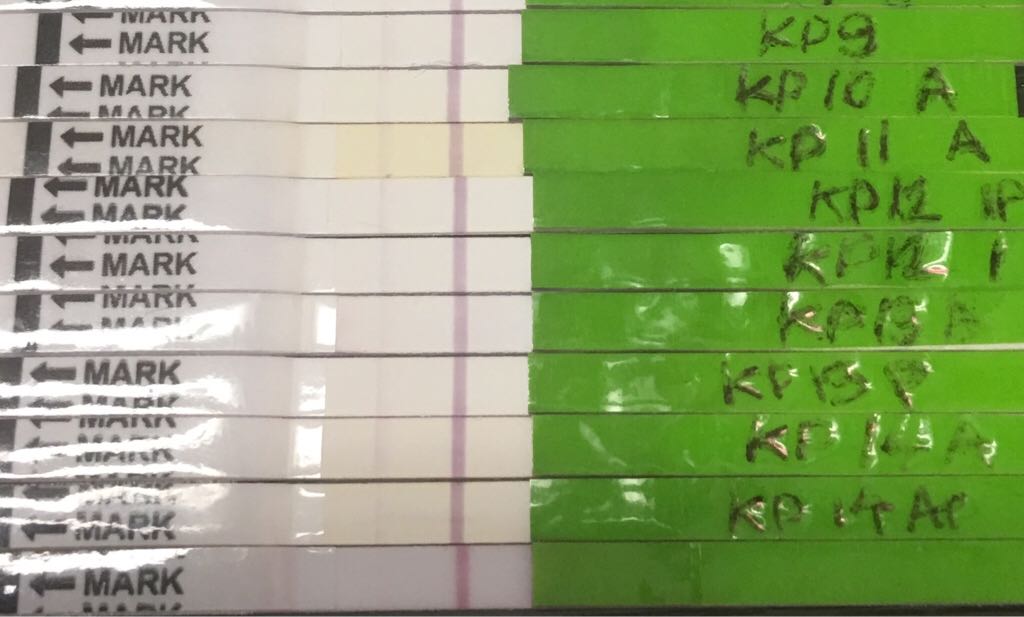 ImageUploadedByVau Foorumi1490360234.470330.jpg