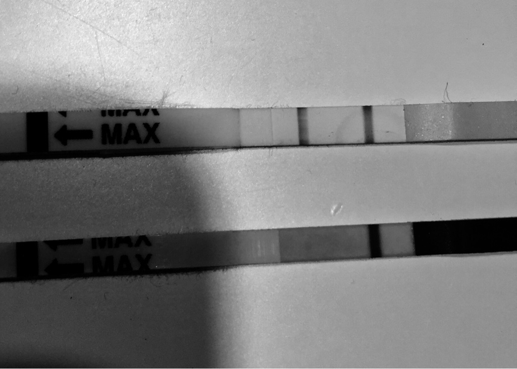 ImageUploadedByVau Foorumi1490561395.410854.jpg