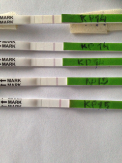 ImageUploadedByVau Foorumi1490805129.173443.jpg