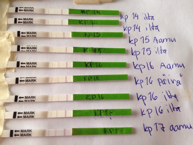 ImageUploadedByVau Foorumi1490943718.668145.jpg