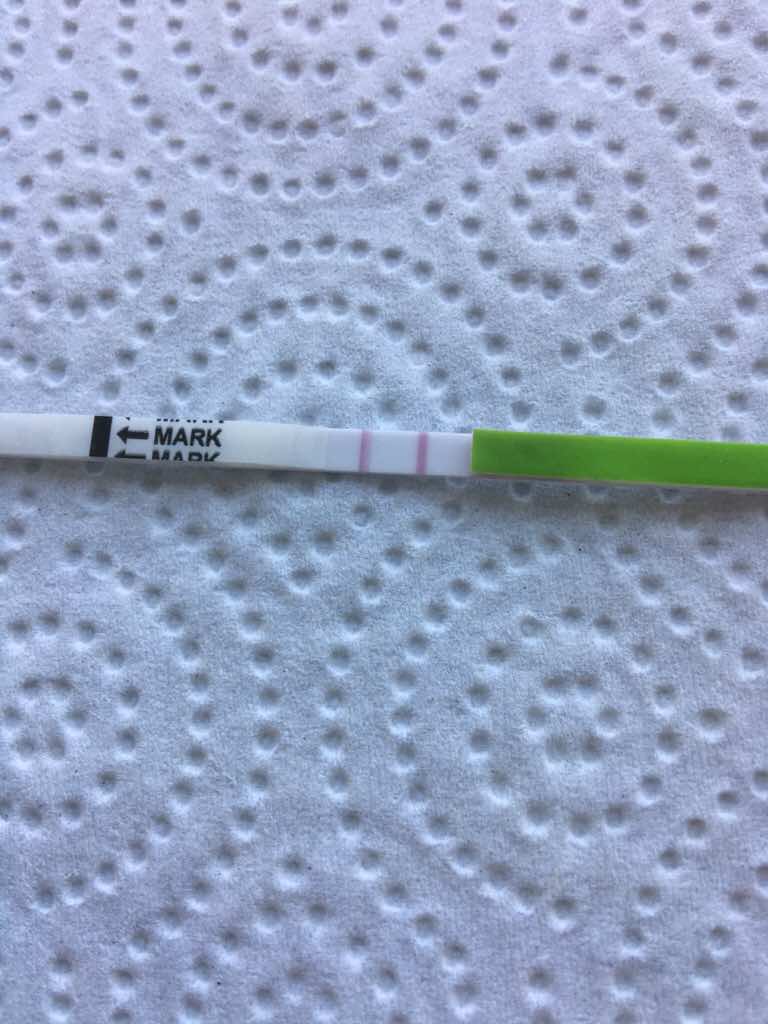 ImageUploadedByVau Foorumi1491152214.234935.jpg