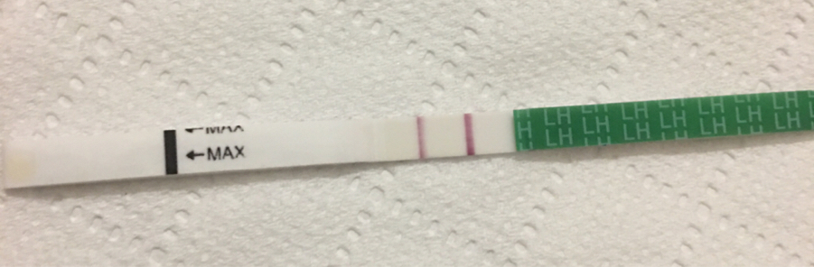 ImageUploadedByVau Foorumi1491152987.819781.jpg