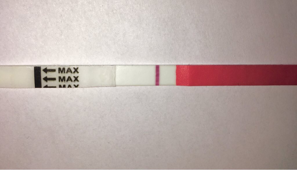 ImageUploadedByVau Foorumi1491187301.851884.jpg