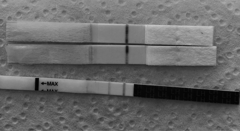 ImageUploadedByVau Foorumi1491209339.361264.jpg