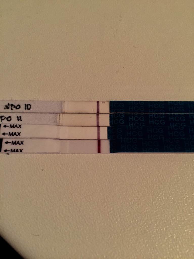 ImageUploadedByVau Foorumi1491241378.466330.jpg