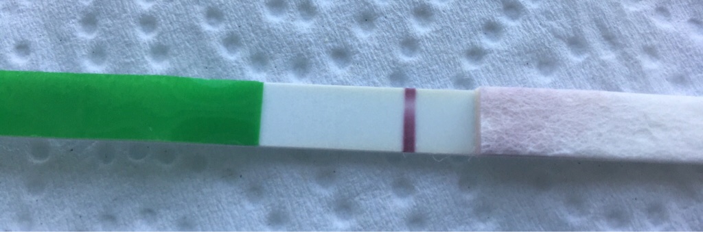 ImageUploadedByVau Foorumi1491246695.645722.jpg