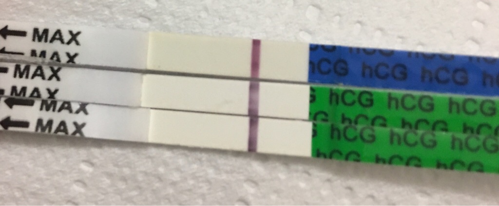 ImageUploadedByVau Foorumi1491247135.833260.jpg