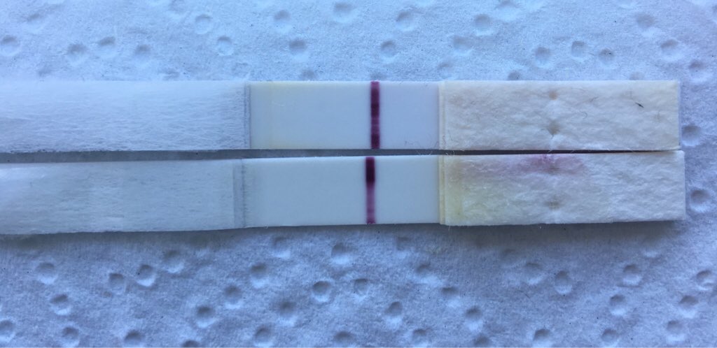 ImageUploadedByVau Foorumi1491247280.301338.jpg