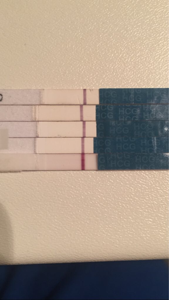 ImageUploadedByVau Foorumi1491281431.982679.jpg