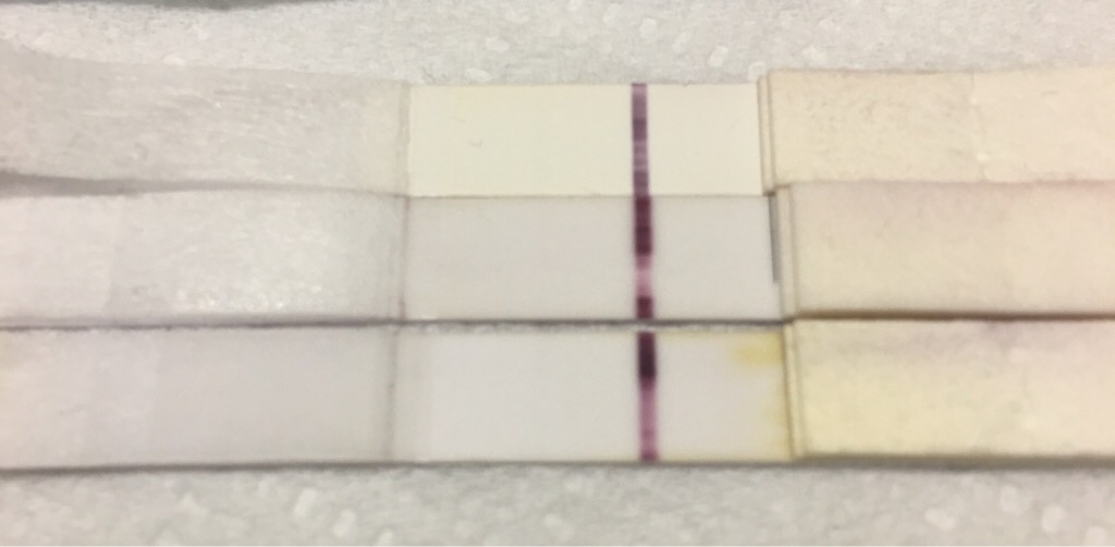 ImageUploadedByVau Foorumi1491283843.083723.jpg