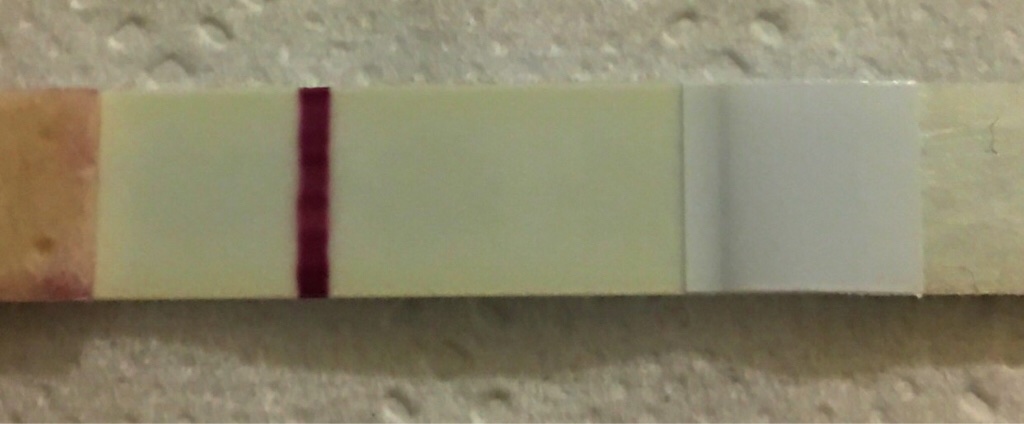 ImageUploadedByVau Foorumi1491326172.934174.jpg