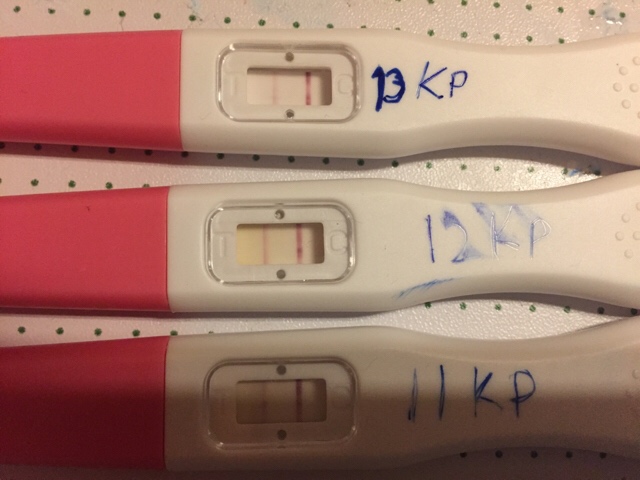 ImageUploadedByVau Foorumi1491330885.435587.jpg