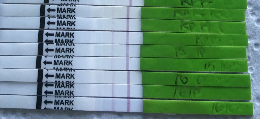 ImageUploadedByVau Foorumi1491331059.909316.jpg