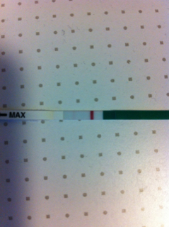 ImageUploadedByVau Foorumi1491464354.013725.jpg