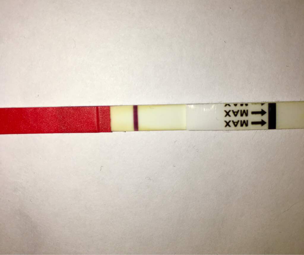 ImageUploadedByVau Foorumi1491487245.371908.jpg