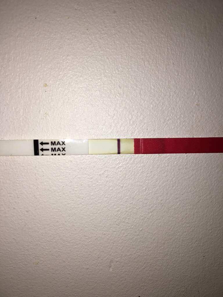 ImageUploadedByVau Foorumi1491487788.386270.jpg