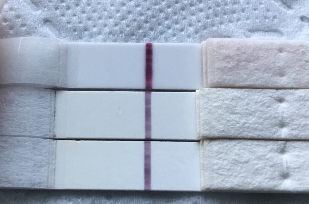 ImageUploadedByVau Foorumi1491538894.316418.jpg