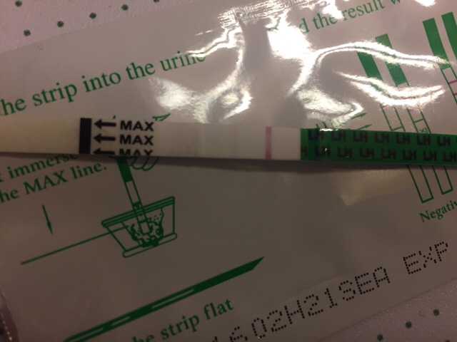 ImageUploadedByVau Foorumi1491585479.237982.jpg