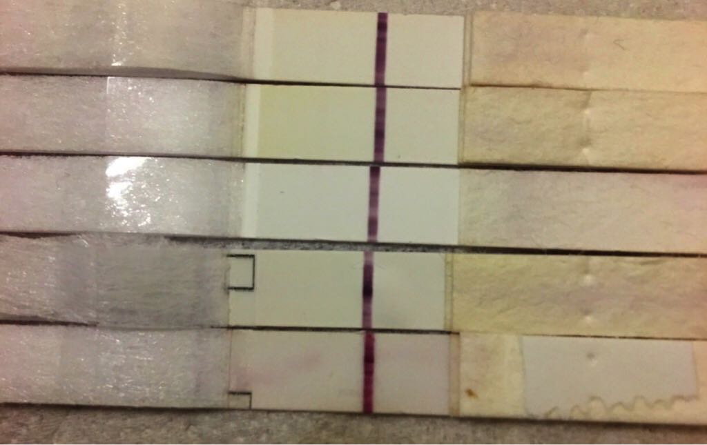 ImageUploadedByVau Foorumi1491631122.454233.jpg