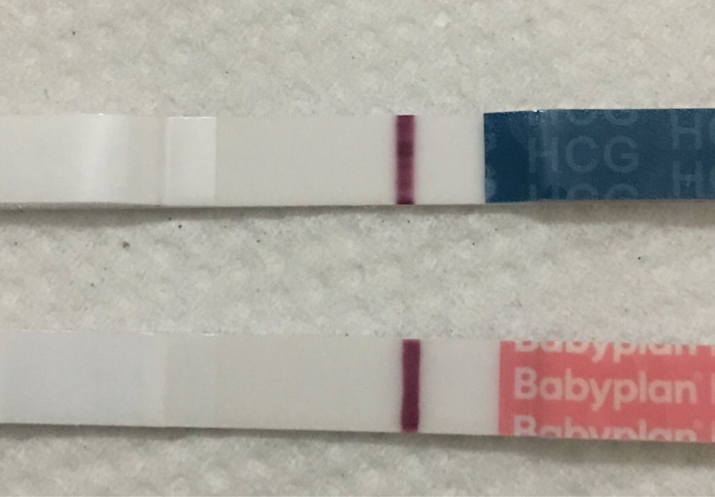 ImageUploadedByVau Foorumi1491631282.895519.jpg