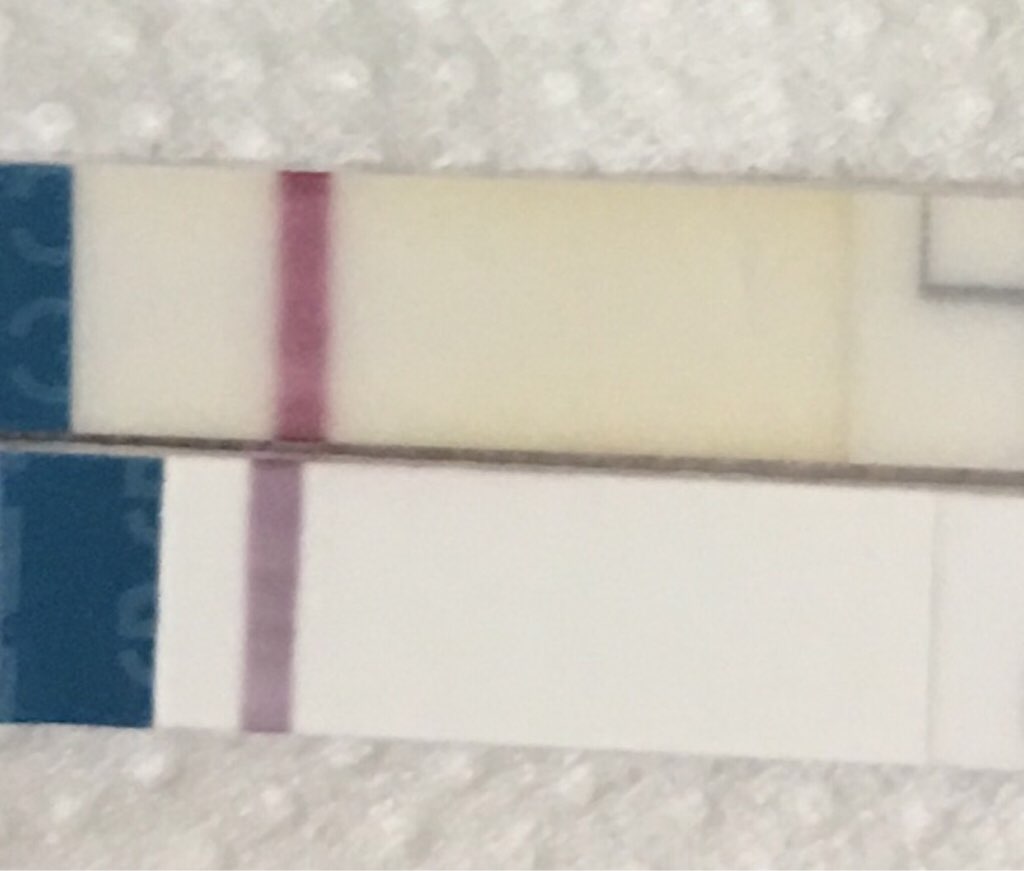 ImageUploadedByVau Foorumi1491731227.268185.jpg