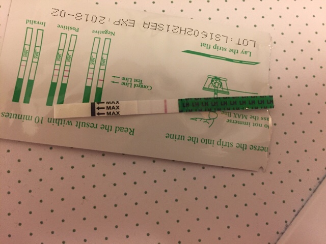 ImageUploadedByVau Foorumi1491737860.320724.jpg