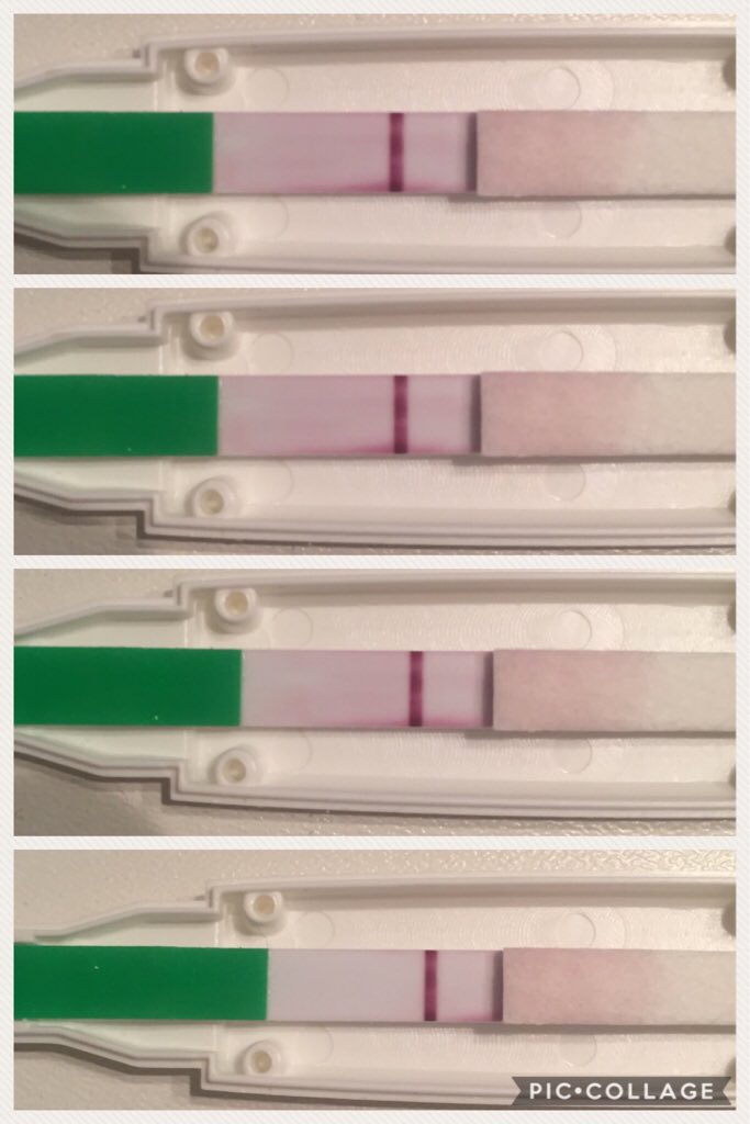 ImageUploadedByVau Foorumi1491742953.620658.jpg