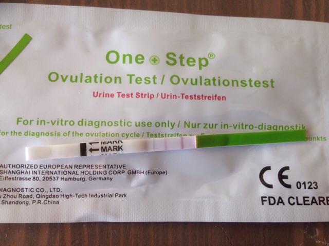 ImageUploadedByVau Foorumi1491896096.575844.jpg