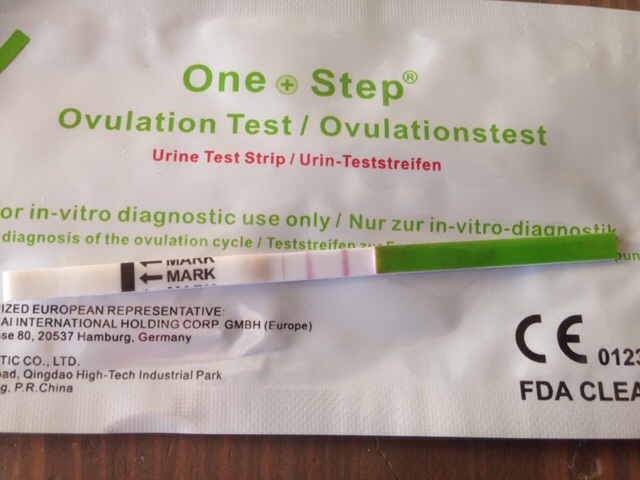 ImageUploadedByVau Foorumi1491896412.395246.jpg