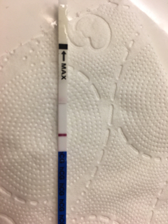 ImageUploadedByVau Foorumi1492322191.892797.jpg