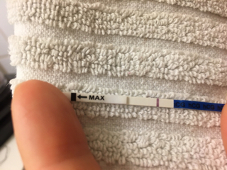 ImageUploadedByVau Foorumi1492324122.163894.jpg