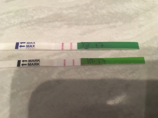 ImageUploadedByVau Foorumi1492361219.100928.jpg