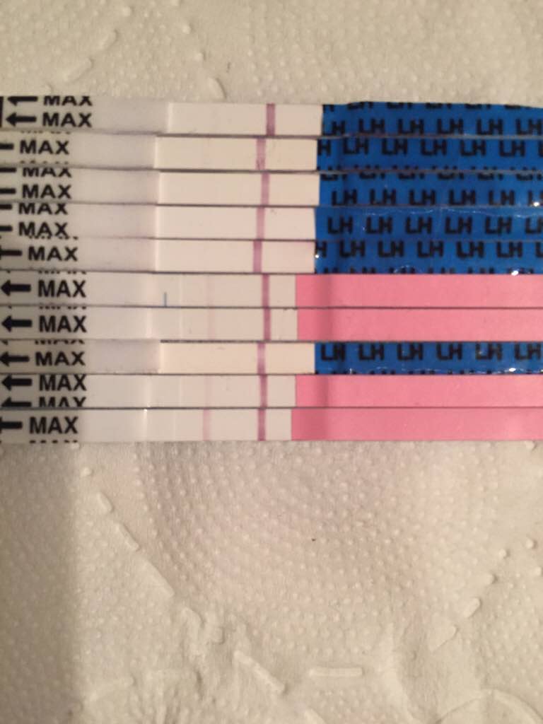 ImageUploadedByVau Foorumi1492855175.510323.jpg