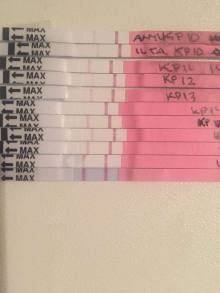 ImageUploadedByVau Foorumi1492933751.460757.jpg