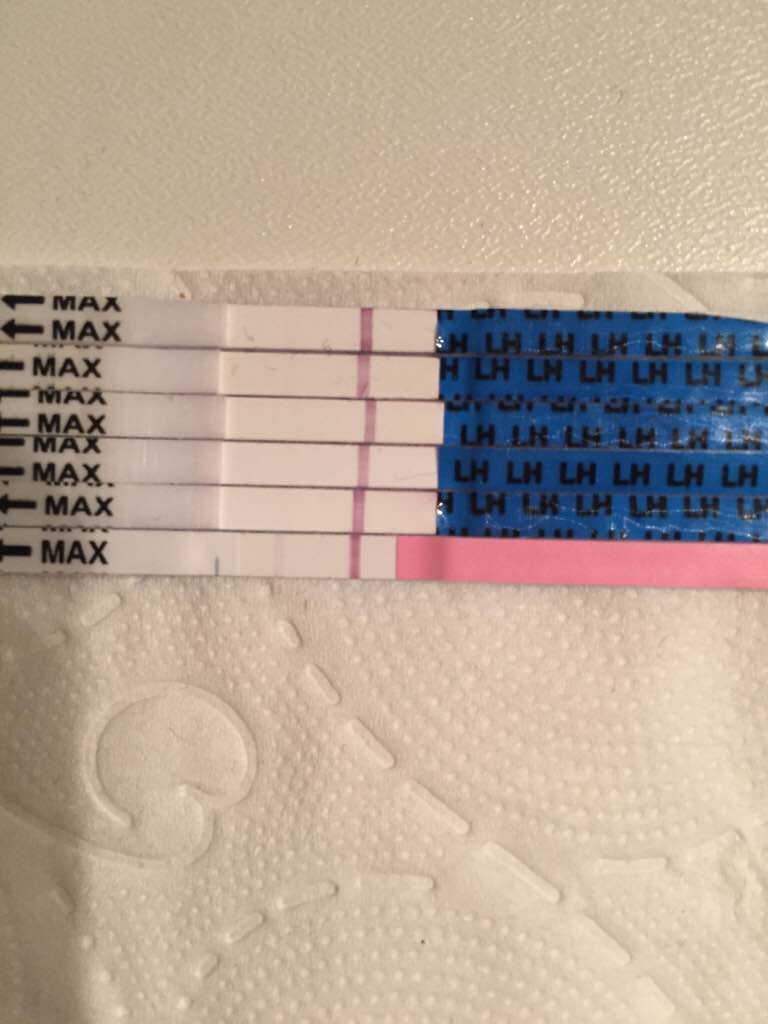 ImageUploadedByVau Foorumi1493278013.436086.jpg