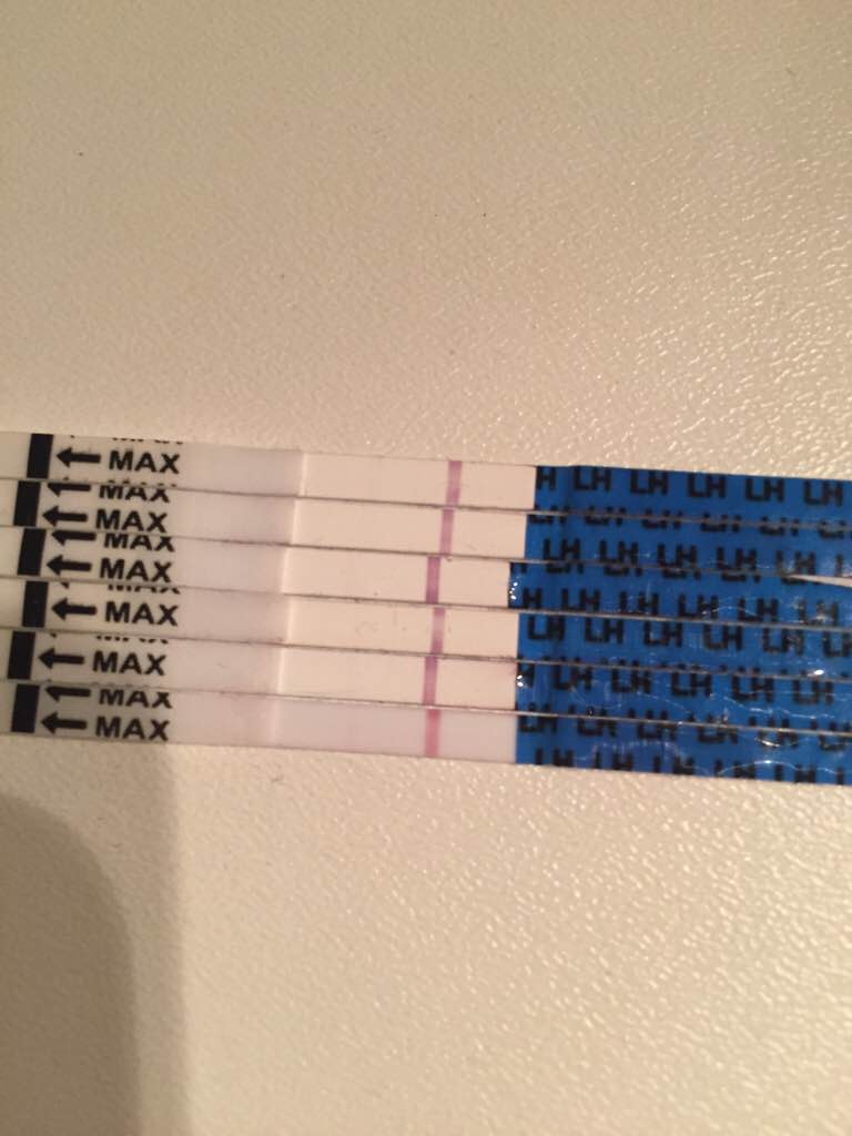 ImageUploadedByVau Foorumi1493278365.169267.jpg