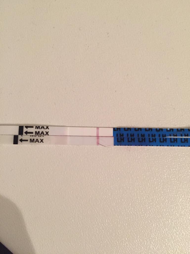 ImageUploadedByVau Foorumi1493364144.729812.jpg