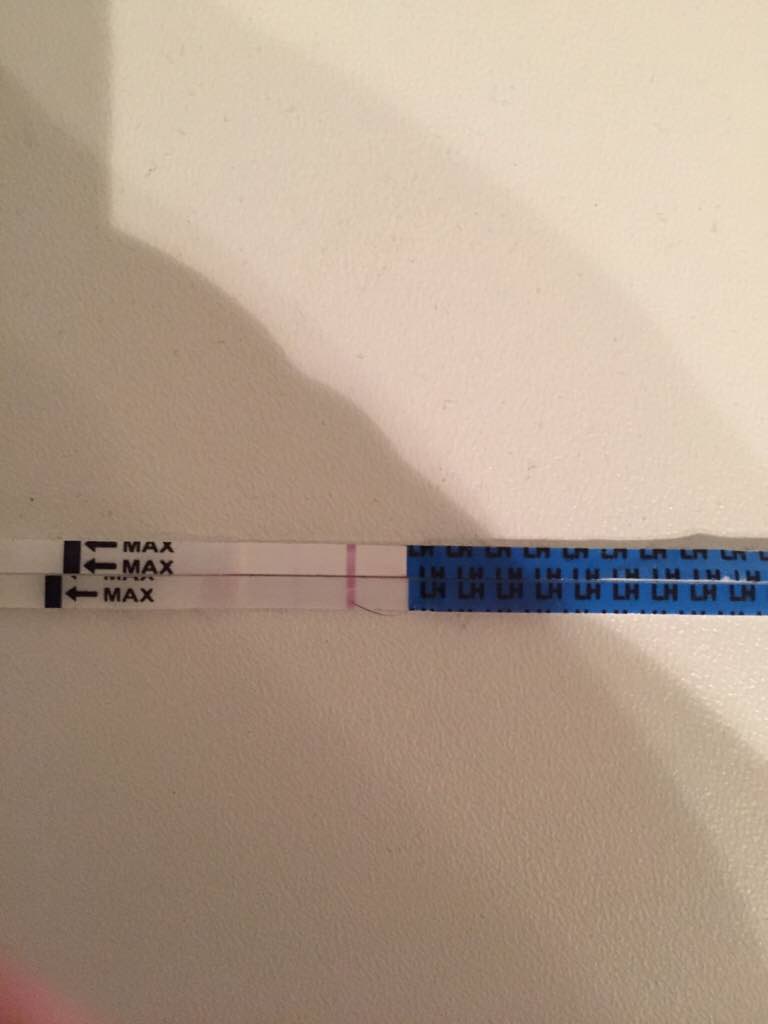 ImageUploadedByVau Foorumi1493364466.110109.jpg