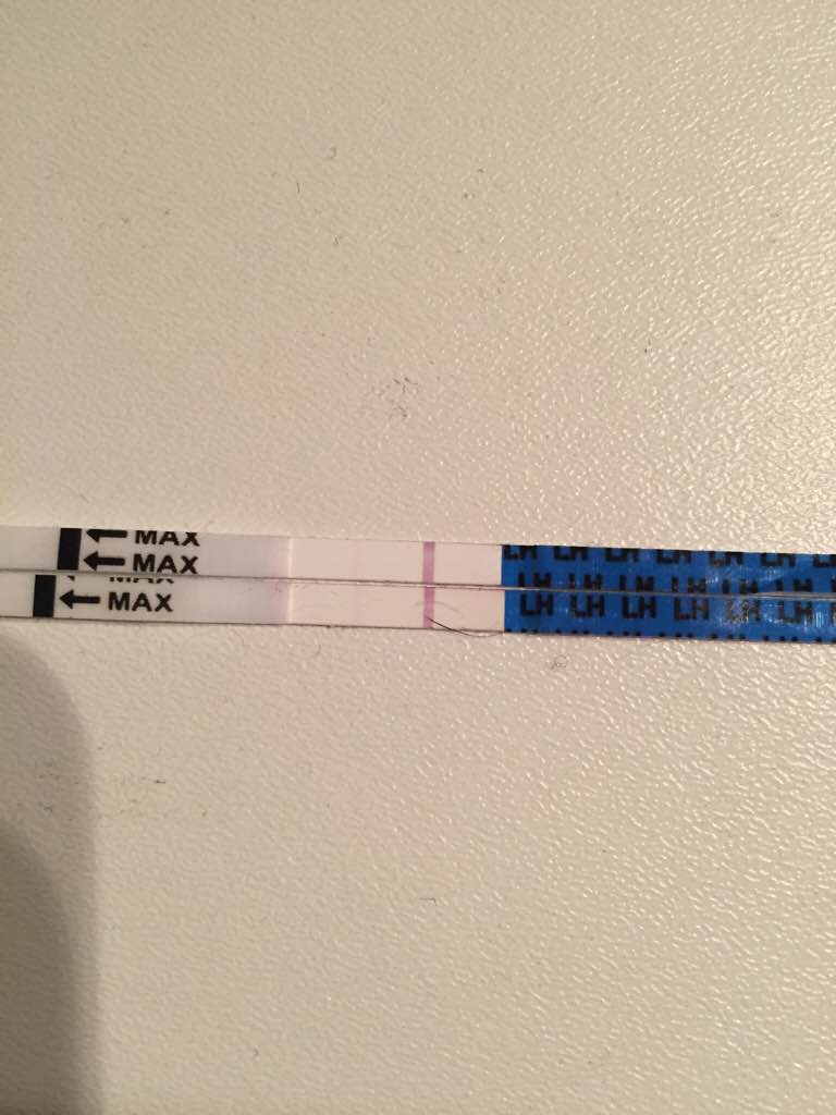 ImageUploadedByVau Foorumi1493367498.945044.jpg