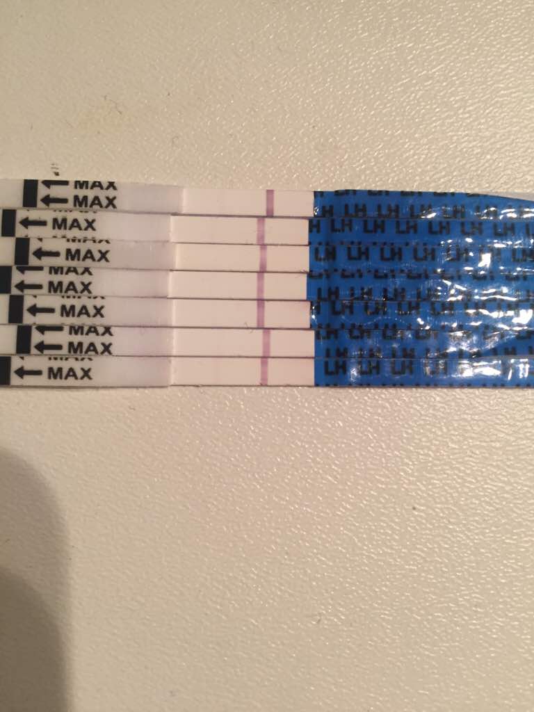 ImageUploadedByVau Foorumi1493380137.194506.jpg