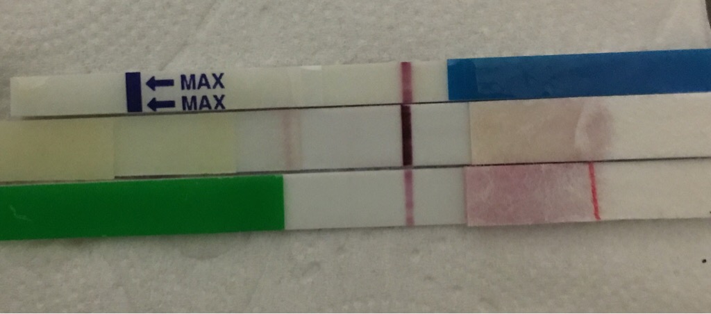 ImageUploadedByVau Foorumi1493567414.228456.jpg